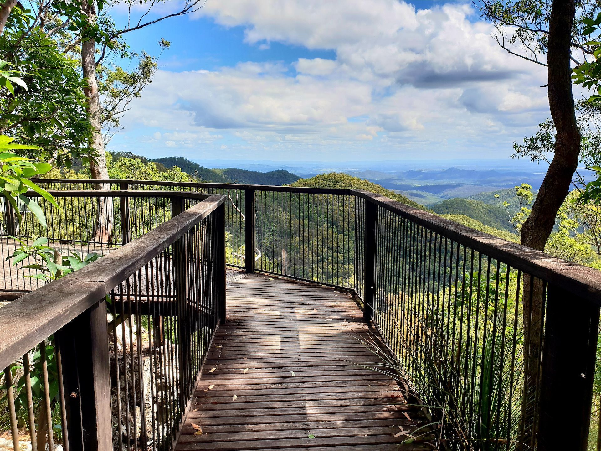 A Wooden Walkway Leading to a Viewpoint Overlooking a Forest — Express Couriers Mackay in Nebo, QLD