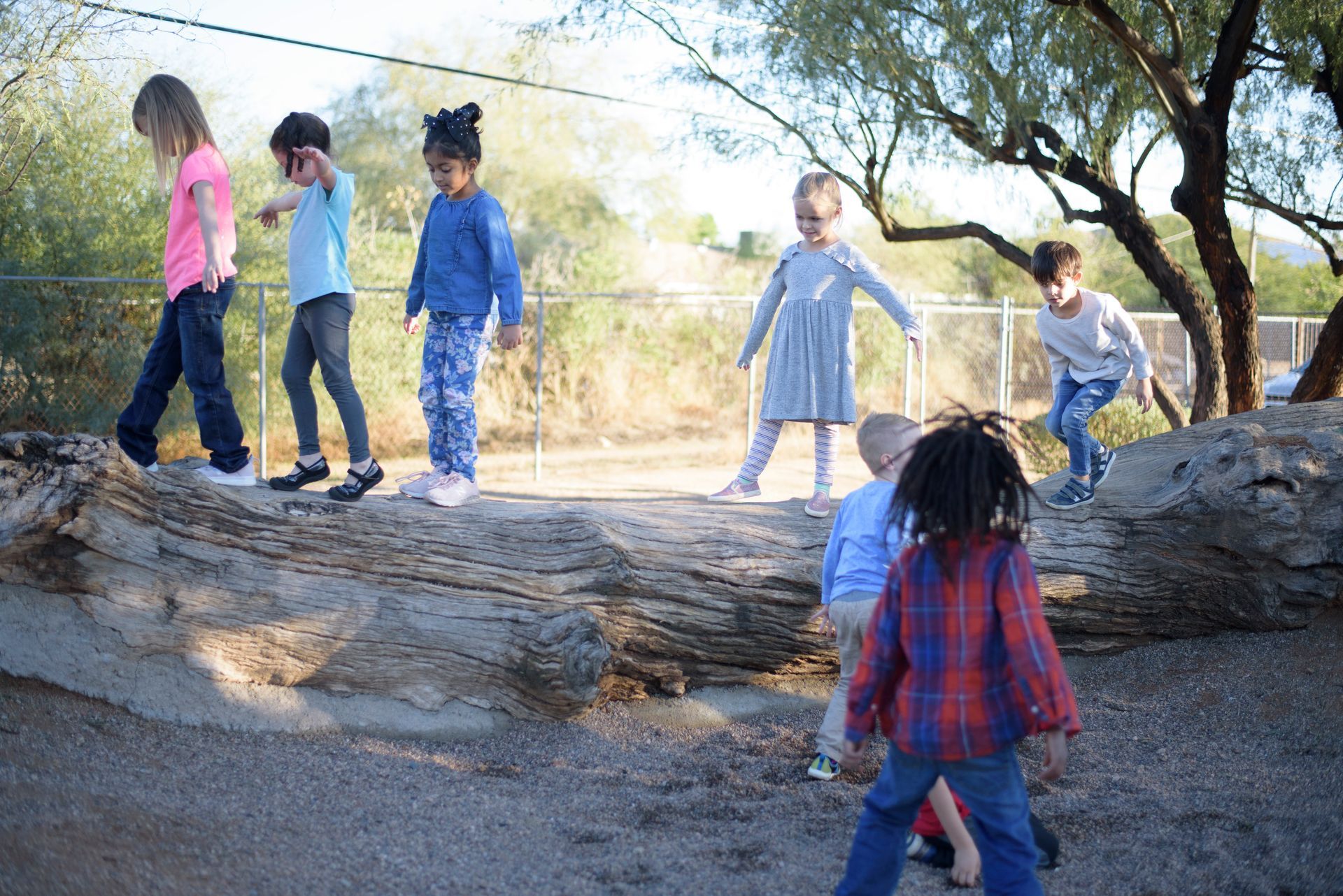 A group of montessori children are playing on a log in a playground.