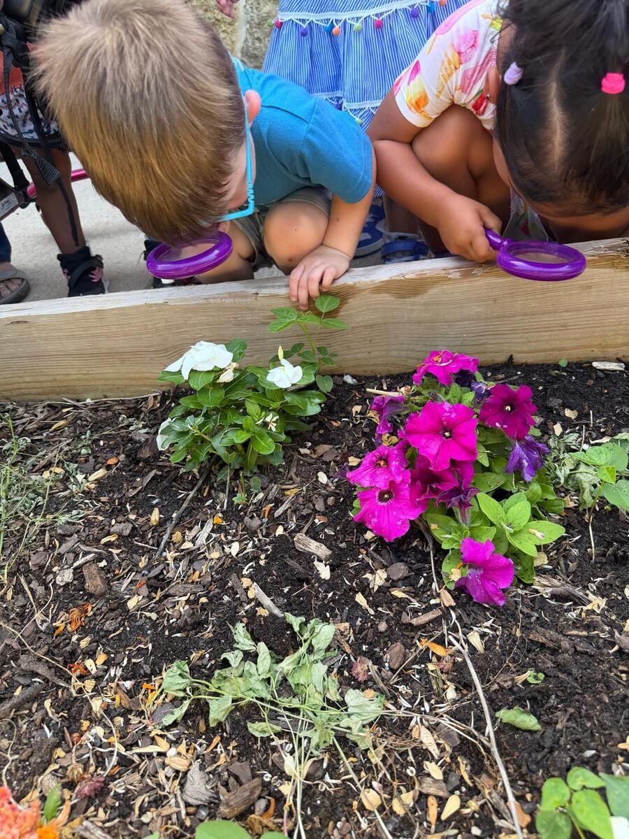 Children planting flowers in a garden bed with bright pink and white blooms