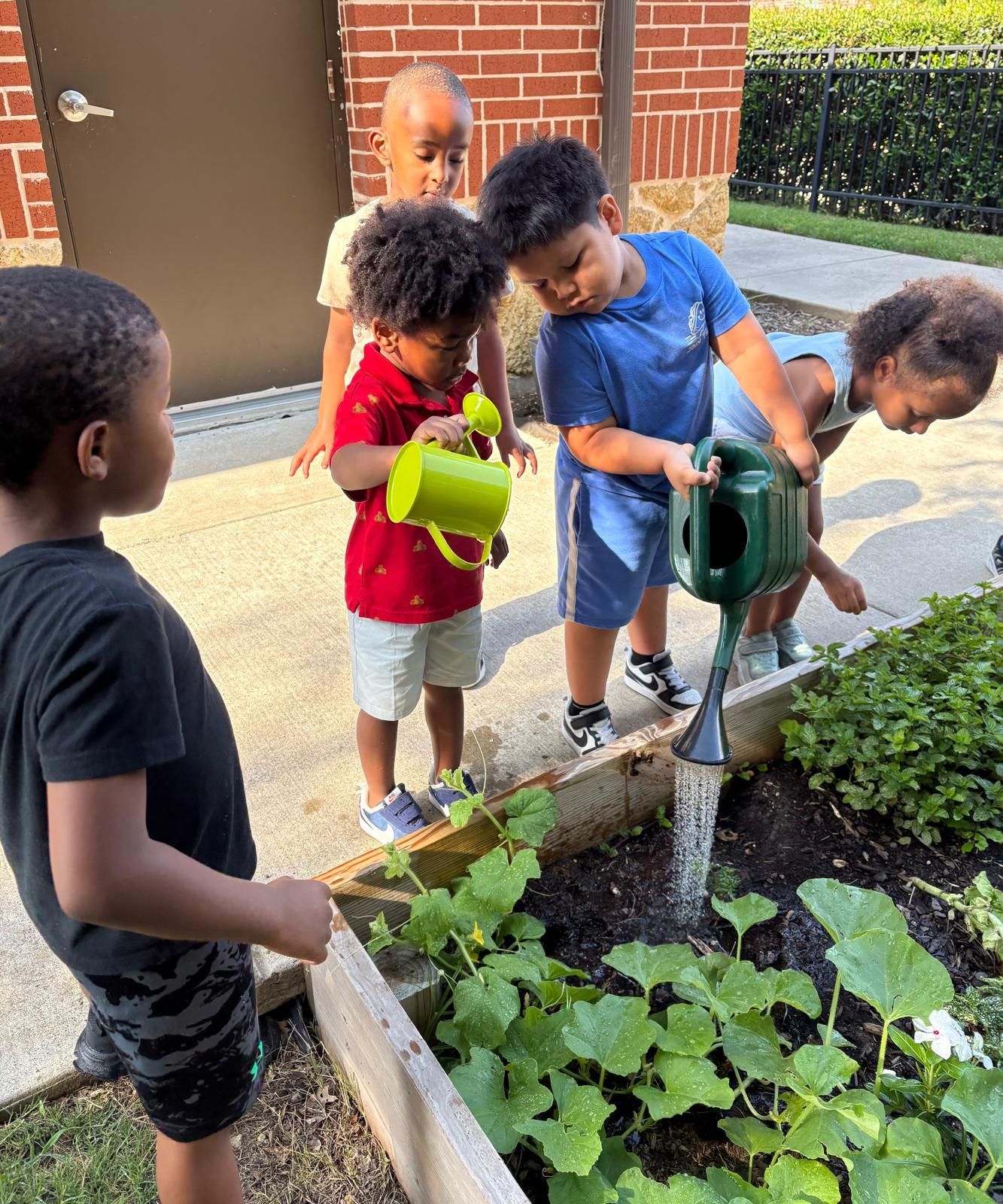 Children watering plants in a garden bed with green and yellow watering cans