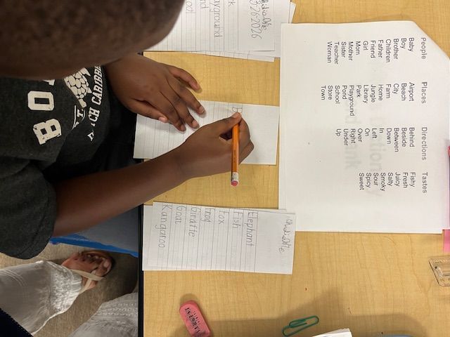 An elementary Montessori student works on a vocabulary lesson, writing and categorizing words for animals, people, and places.