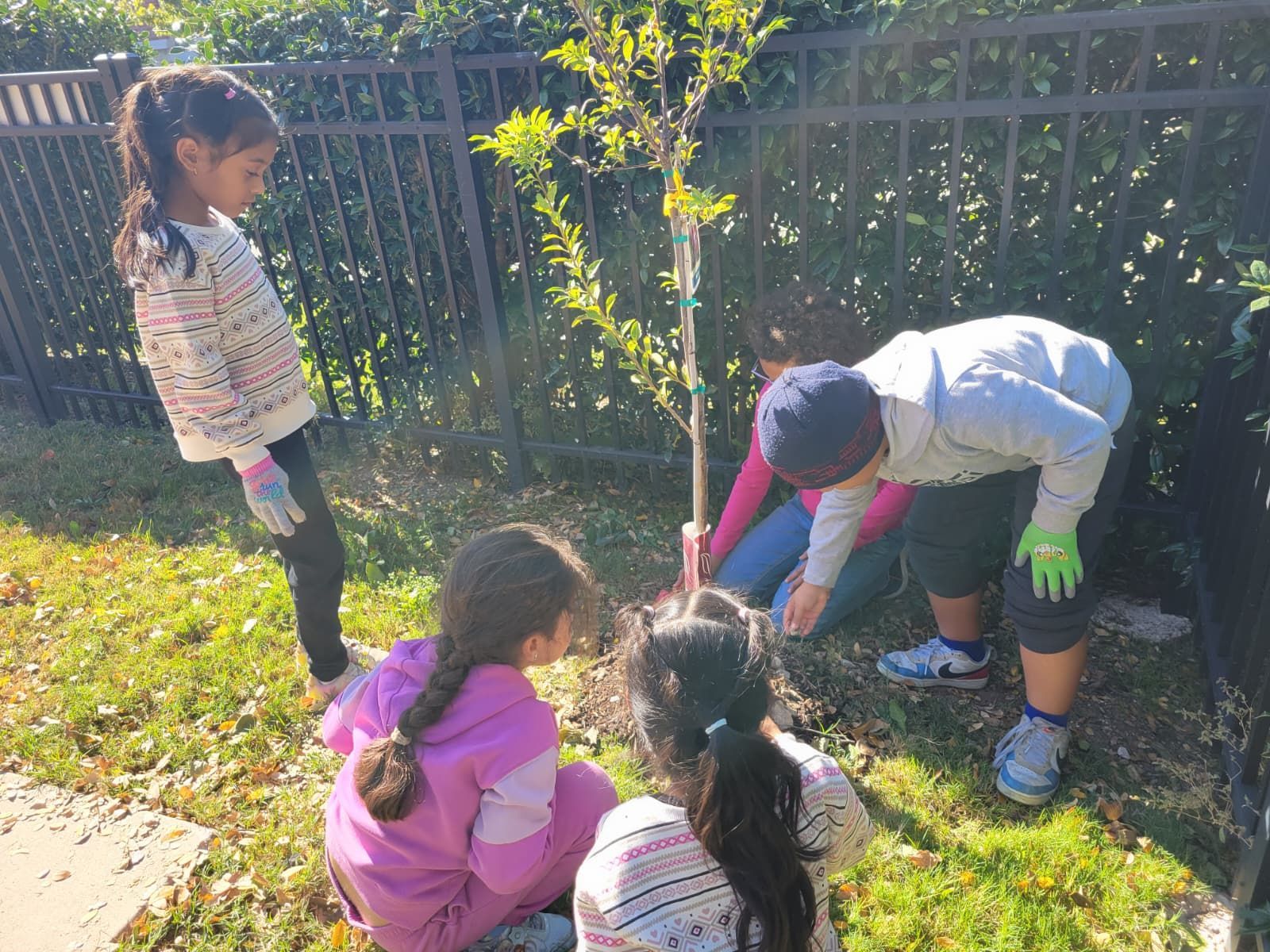Montessori children gardening