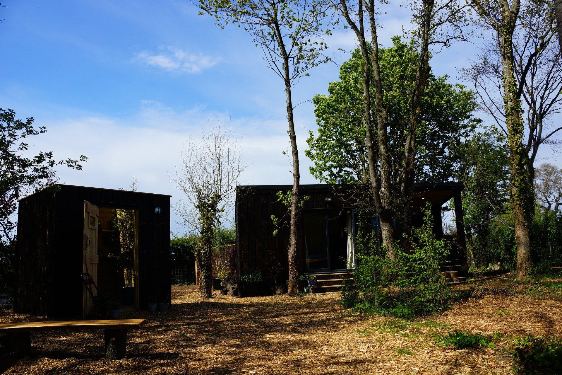 A house in the middle of a forest with a blue sky in the background