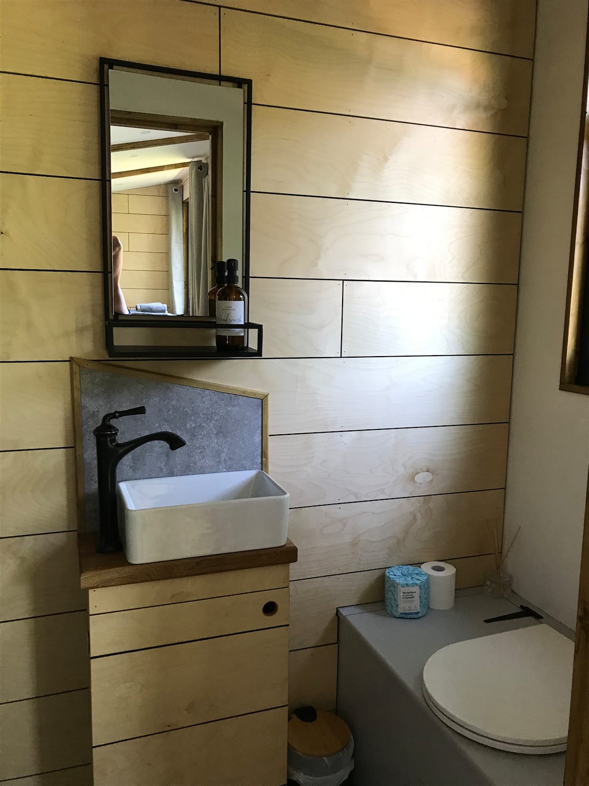 A bathroom with a sink , toilet and mirror.