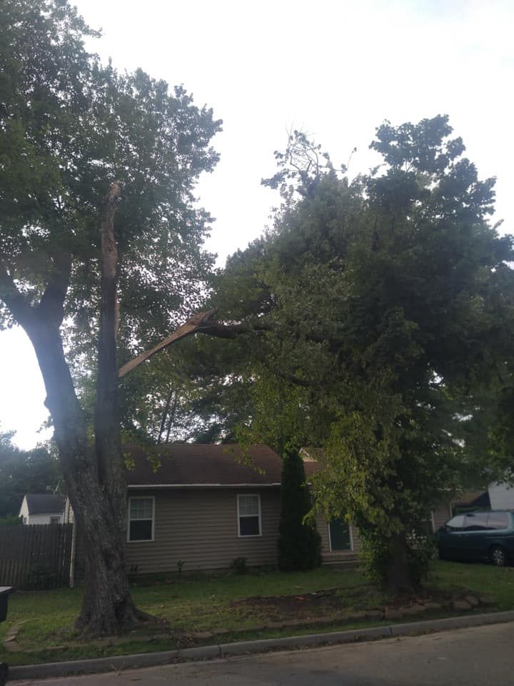 A tree that has fallen in front of a house