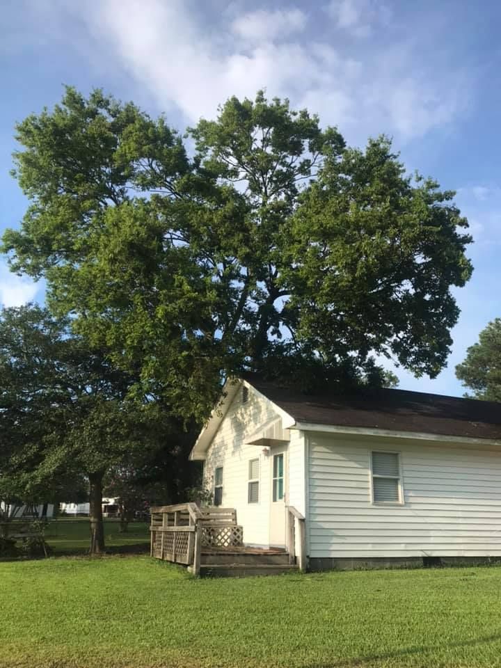 A white house with a large tree in front of it.