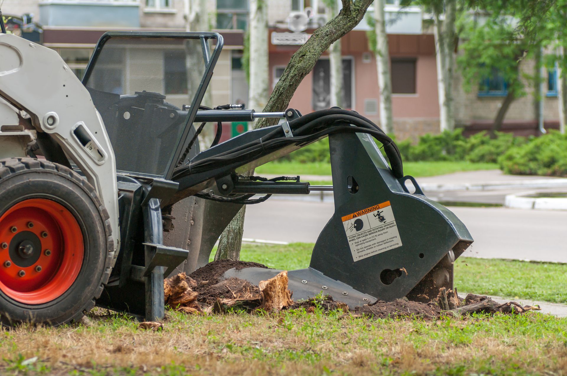 Skid steer stump grinder removing tree stump in home yard landscaping and tree removal service works.