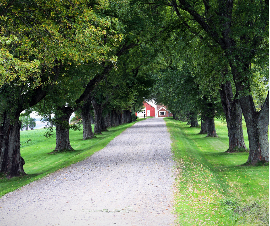 Gravel Driveway Maintenance