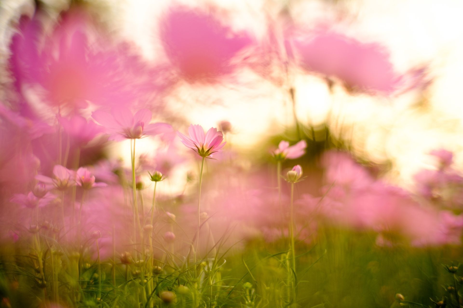 Urn on a wreath at a funeral; mourners in the background with heads bowed.