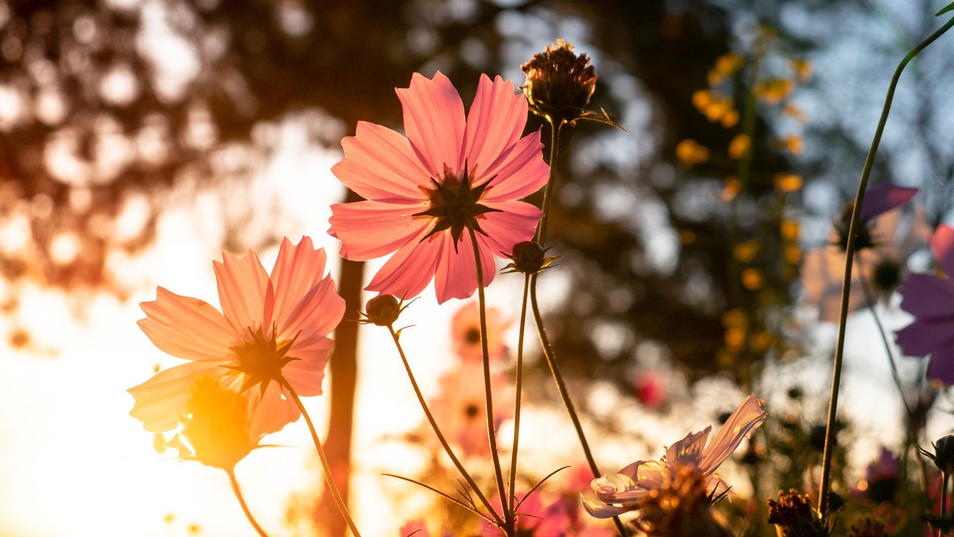Woman's hands typing on laptop; wearing a ring and tan sweater in an indoor setting.