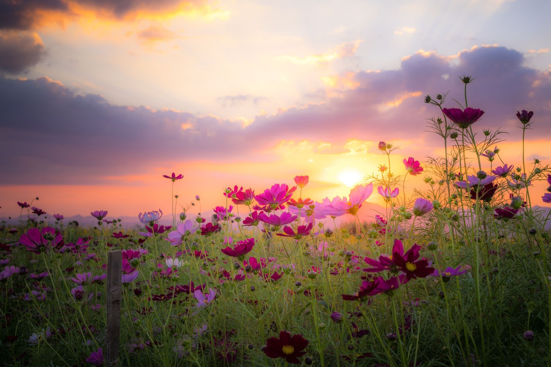 White roses and ivy with blurred background of candles and silver container.