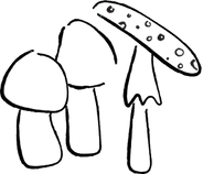 Three mushrooms, various shapes, simple line drawing, one spotted cap.