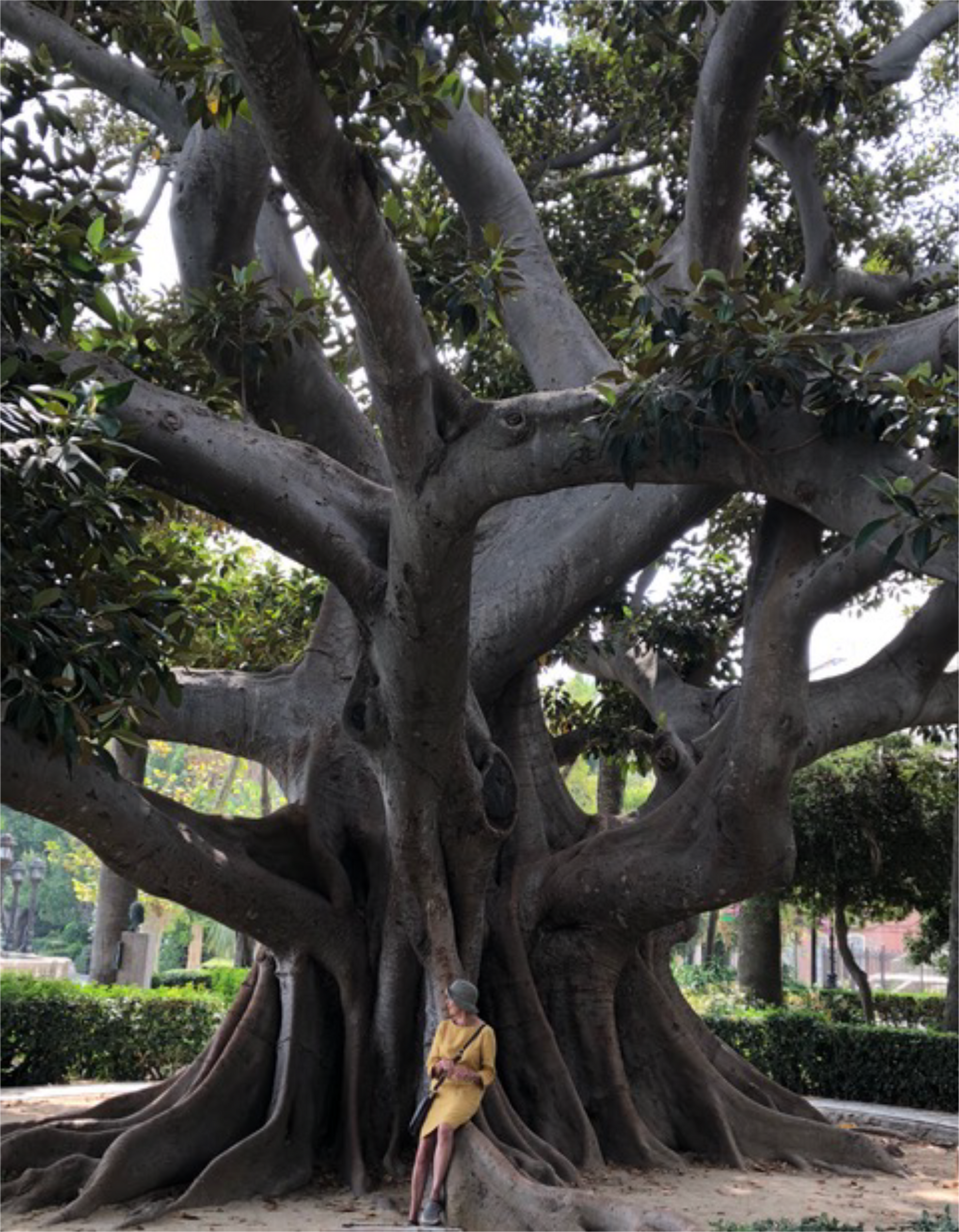 Woman in yellow dress leans against large tree in a park.