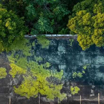 Cicero IL roofing company offering tear-off and reroof services, energy-efficient shingle systems, custom metal roof options, gutter guard installation, Cook County certified contractors.