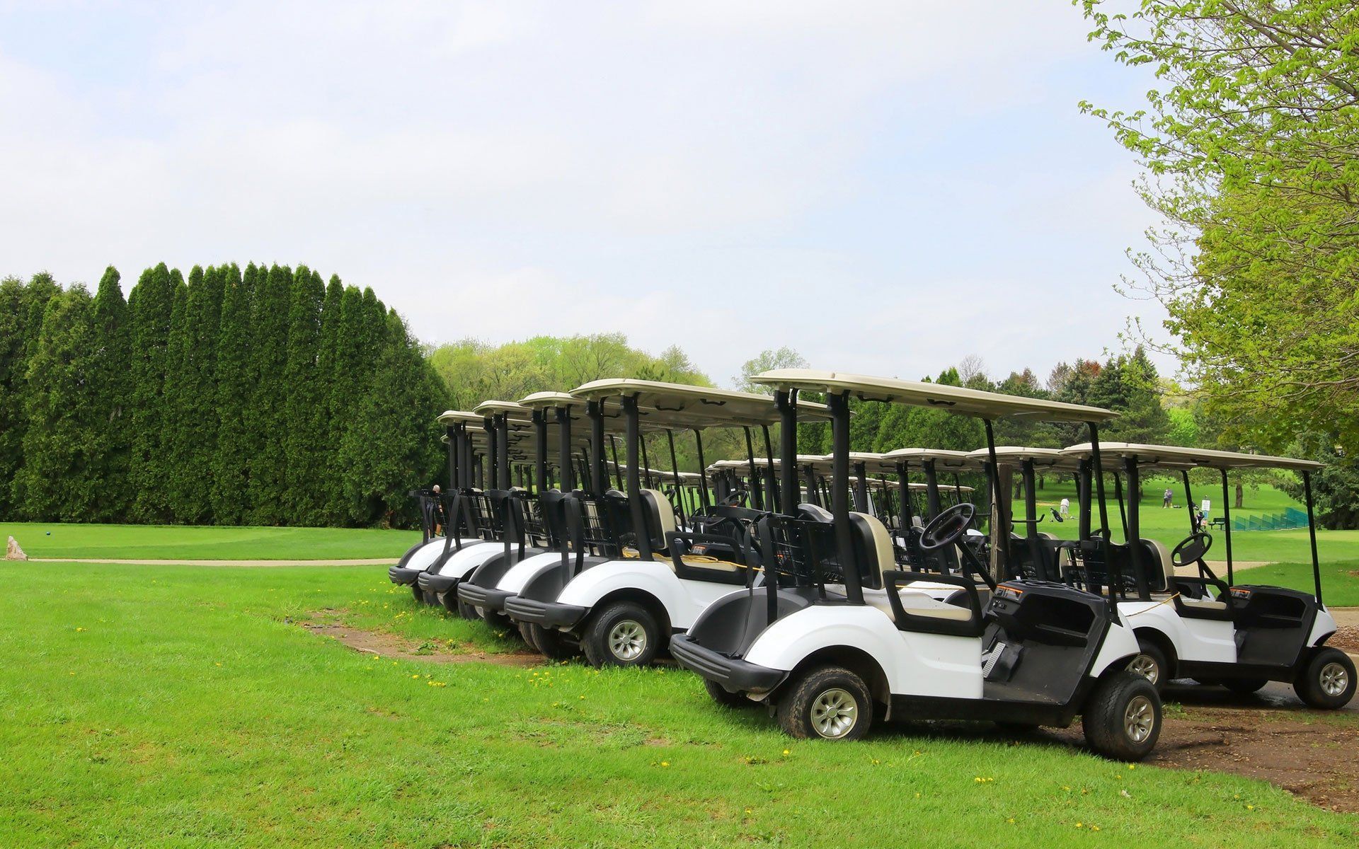 McKinney 1 Golf Cart Dealership Oasis Carts
