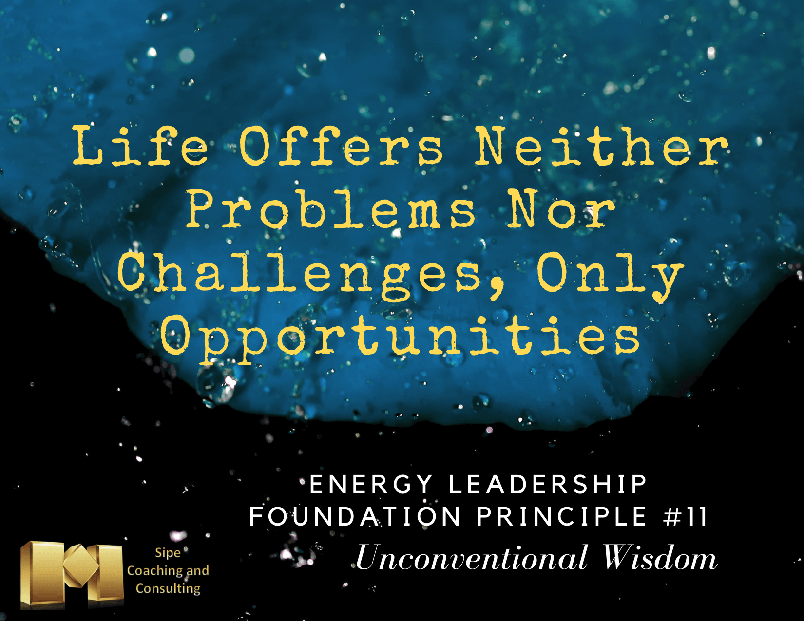 Life Quote:Life Offers Neither Problems Nor Challenges, Only Opportuntities