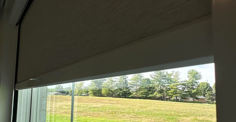 Partially closed window blind overlooking a sunny grassy field with trees