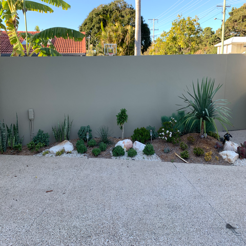 Garage Garden - Gold Coast - Darran’s Gardening & Landscapes