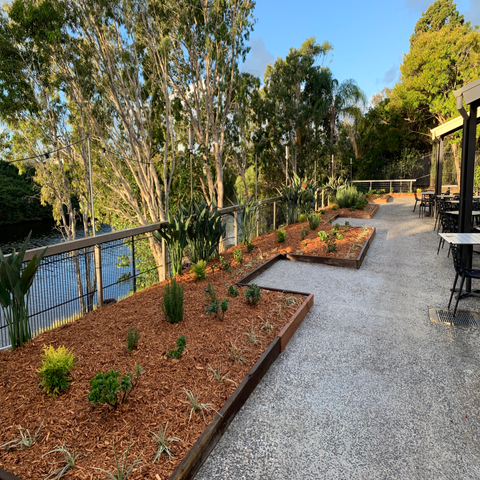 Side Of Restaurant Garden - Gold Coast - Darran’s Gardening & Landscapes