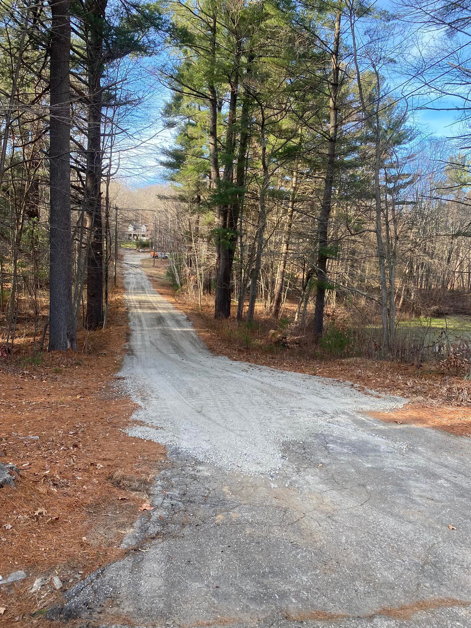 Gravel driveway through a forest of tall trees, leading uphill. Dry leaves line the sides, with blue sky visible.