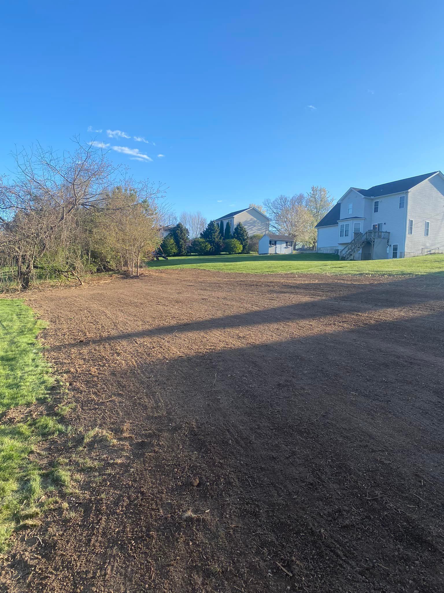 Leaves cover a yard on a sunny day with houses in the background.