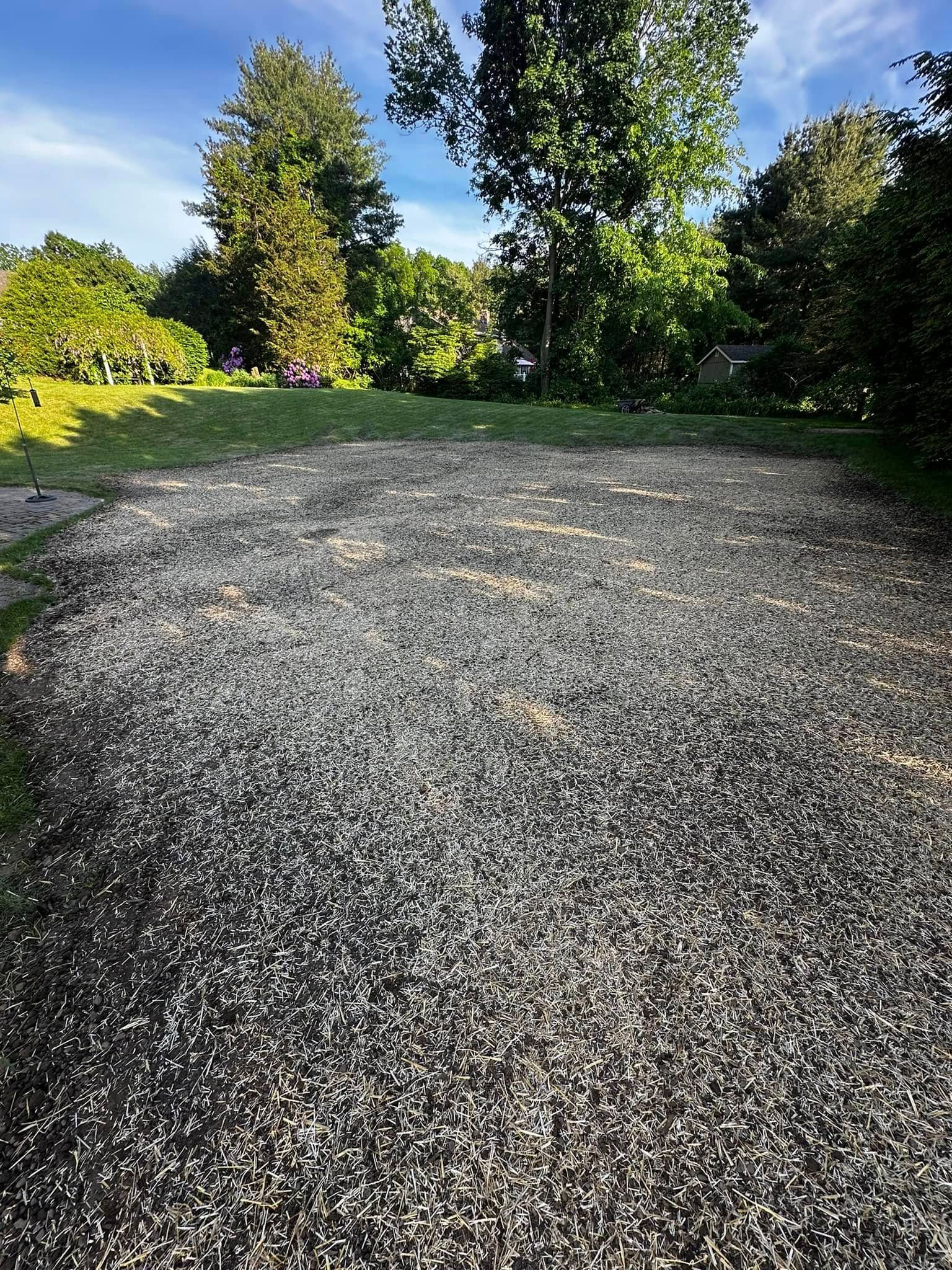 Gravel driveway leading toward a grassy area with trees under a blue sky.