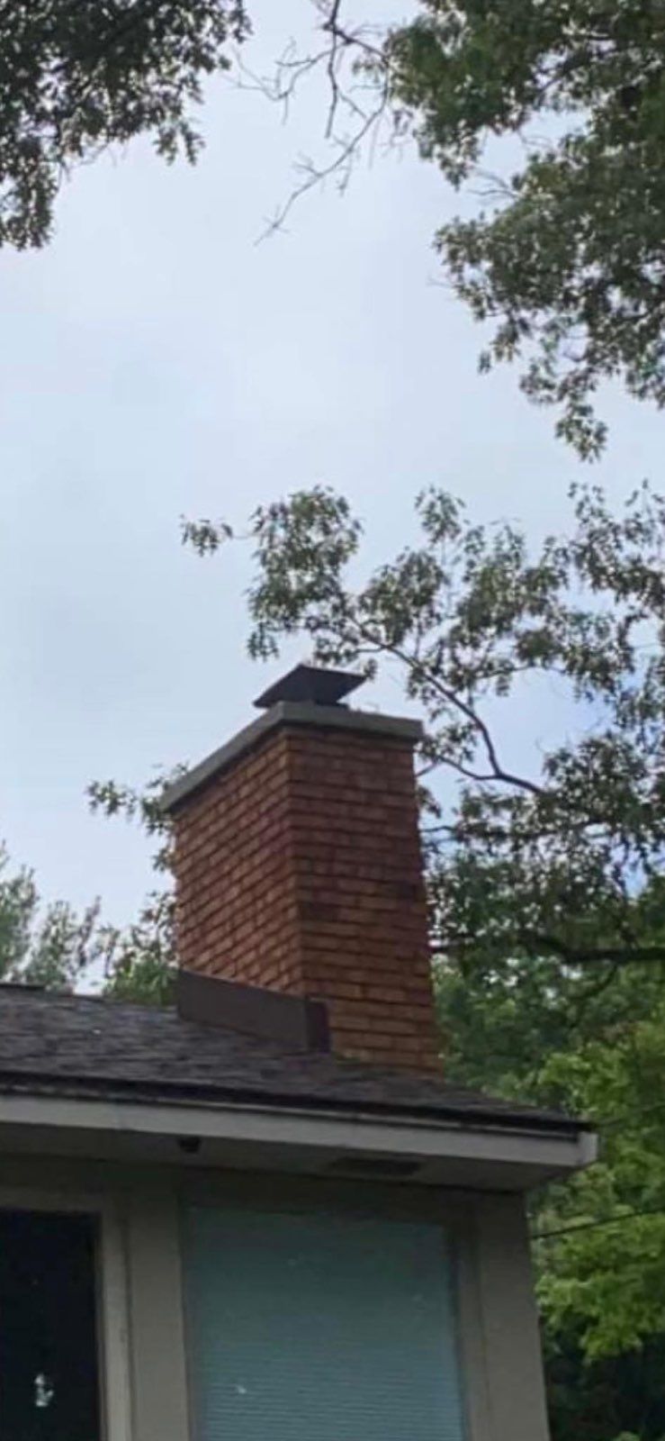 A bird is perched on top of a brick chimney on top of a house.