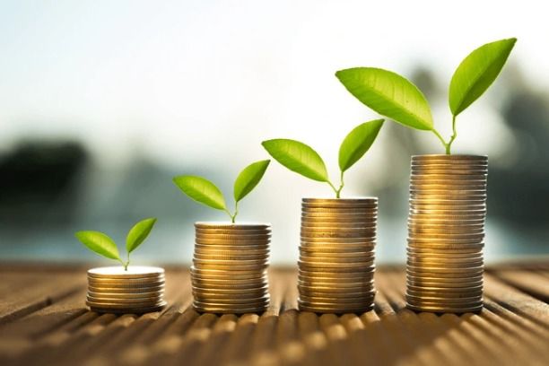 Stacks of coins with growing green plants symbolize financial growth.