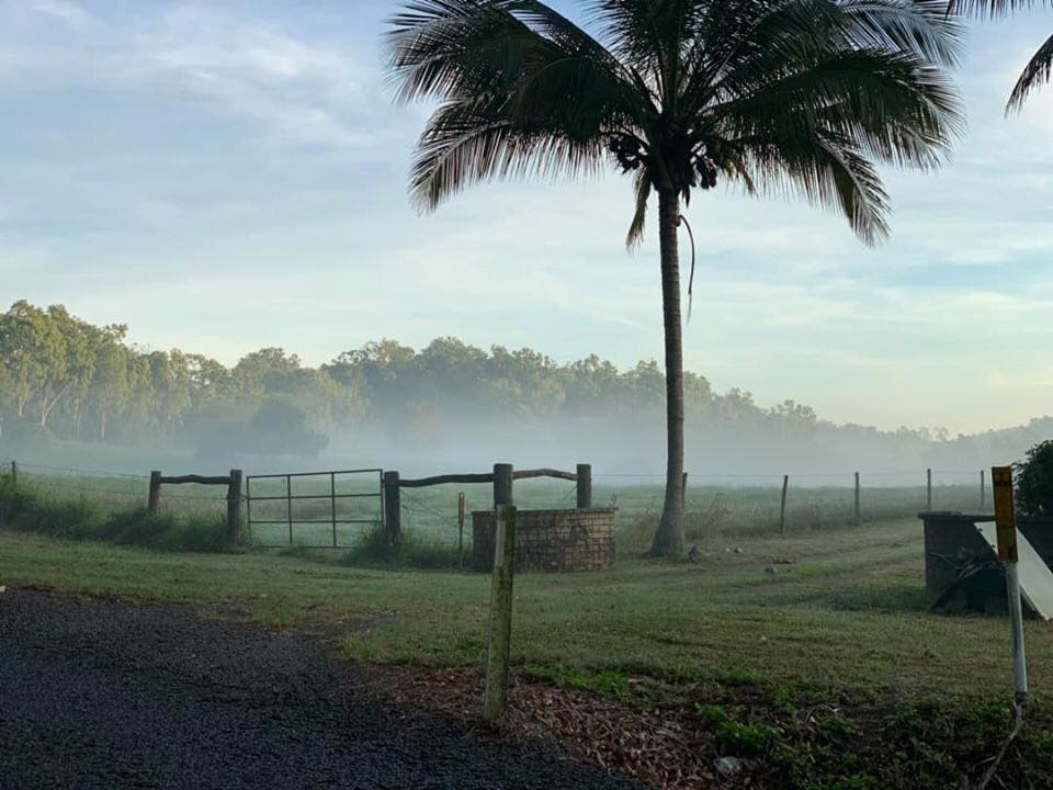 Bayview Canine Lodge 2 — Bayview Canine Lodge In Habana QLD