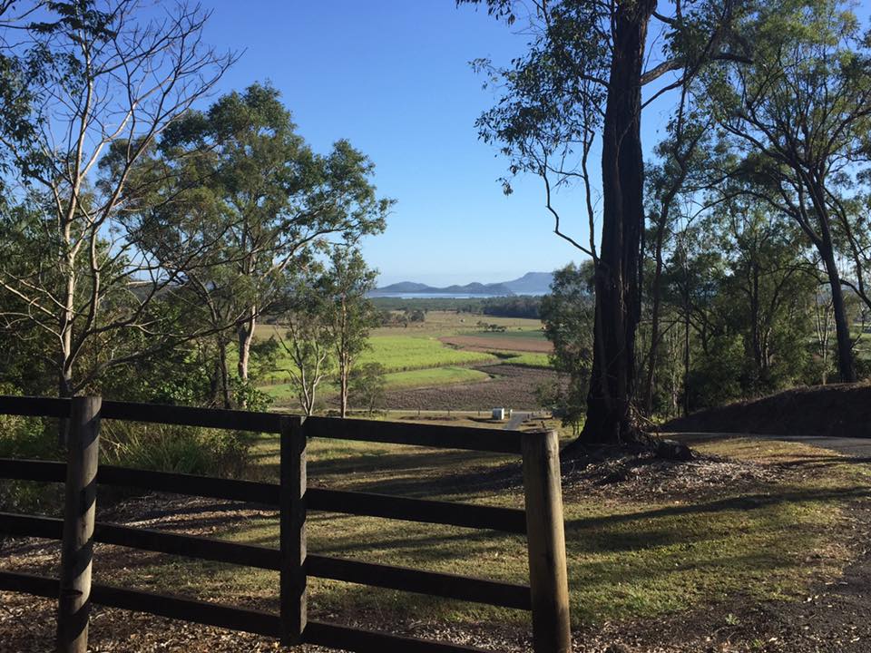 Bayview Canine Lodge 7 — Bayview Canine Lodge In Habana QLD