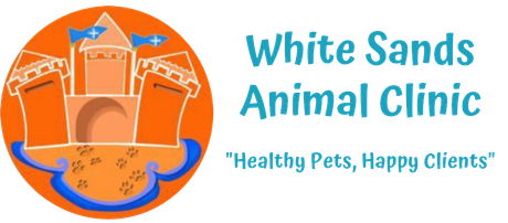 Logo for White Sands Animal Clinic, featuring a cartoon orange castle on a beach with blue accents. Text reads, 
