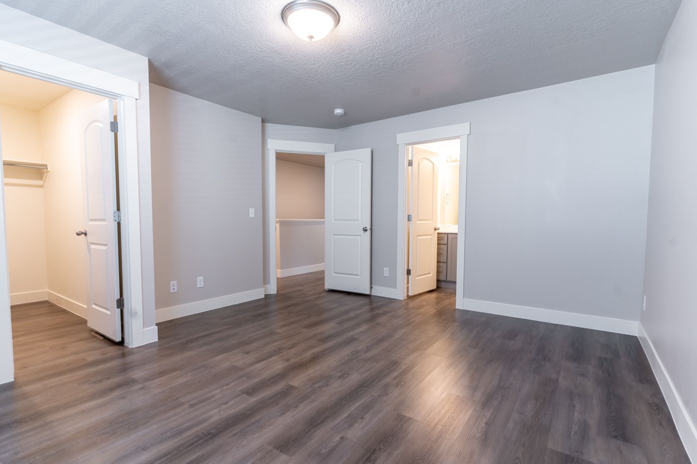 Empty apartment room with gray walls, wood-like flooring, and open closet and bathroom doors.