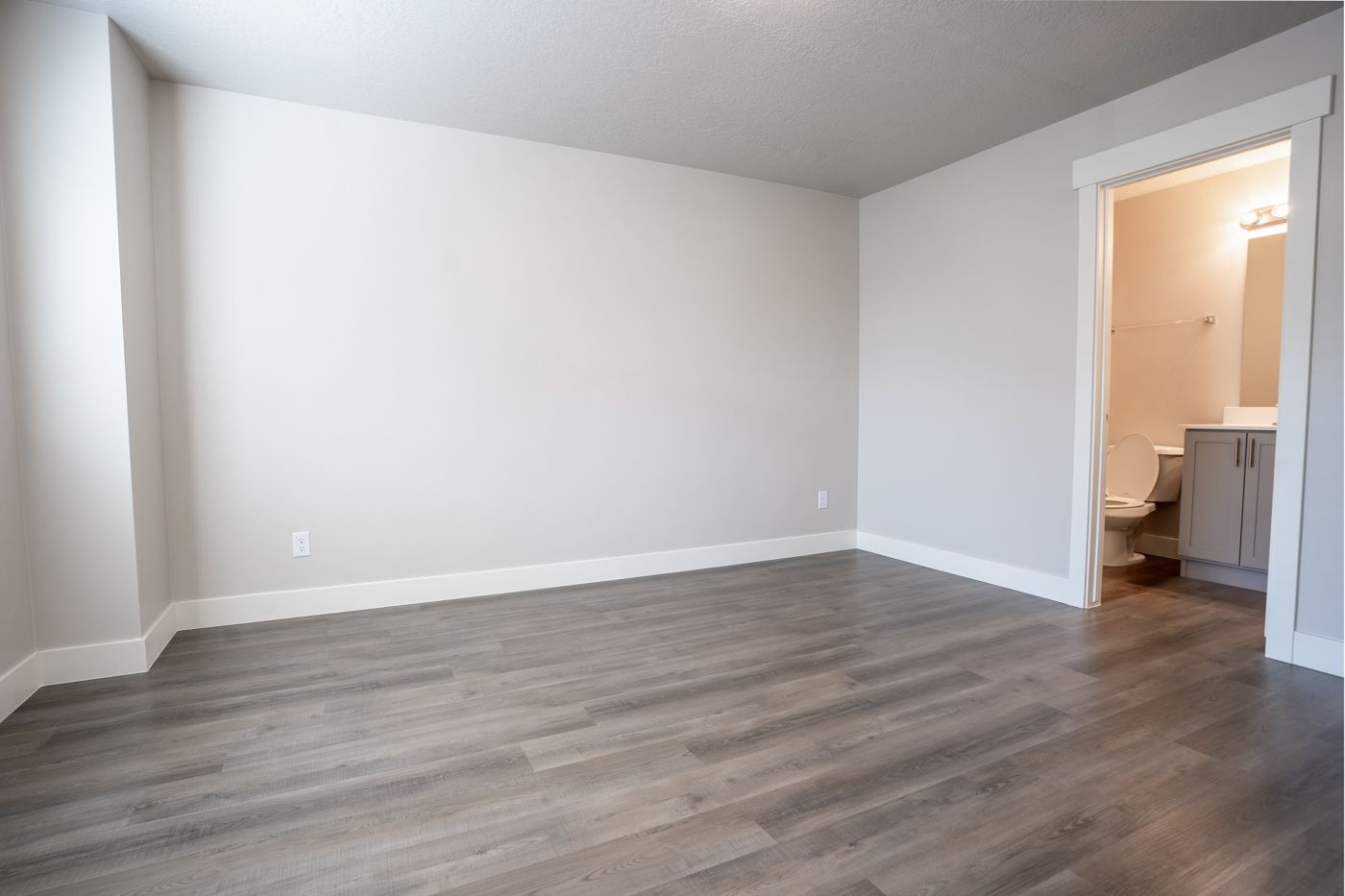 Empty apartment room with gray wood-look flooring and a doorway to a bathroom.