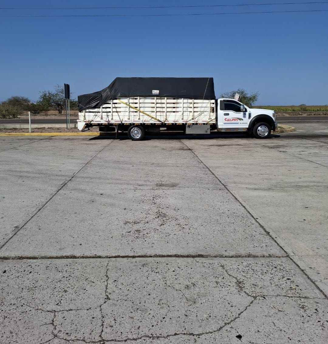TRANSPORTES ESPECIALES GALLARDO- servicio exprés