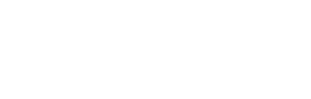 Sapphire Dragon, Inc. LOGO