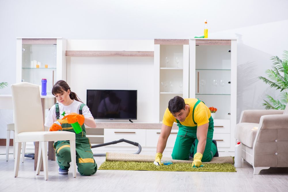 A Man and a Woman Are Cleaning a Rug in a Living Room — Collis Care In Dundowran, QLD