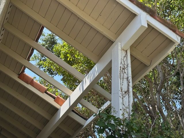 White wooden pergola roof, red tile edge, plants and blue sky peeking through.
