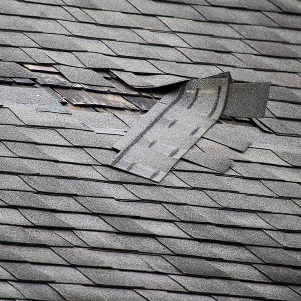 Roofing and Gutter Services Near You