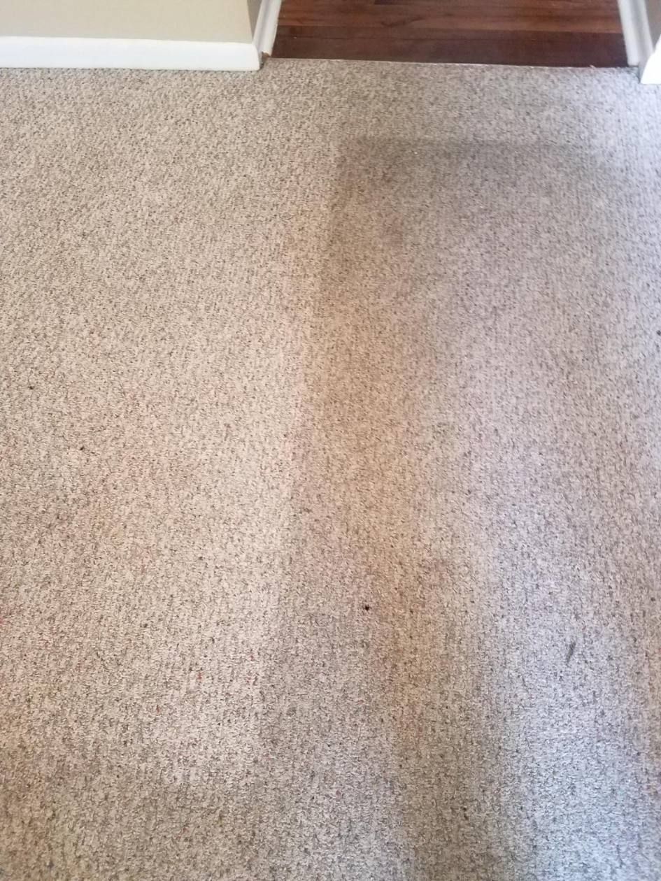 Carpet cleaned; left side lighter, right side darker with a visible difference in color. Near a door frame.