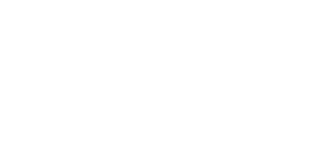 The Master's Carpet Cleaner