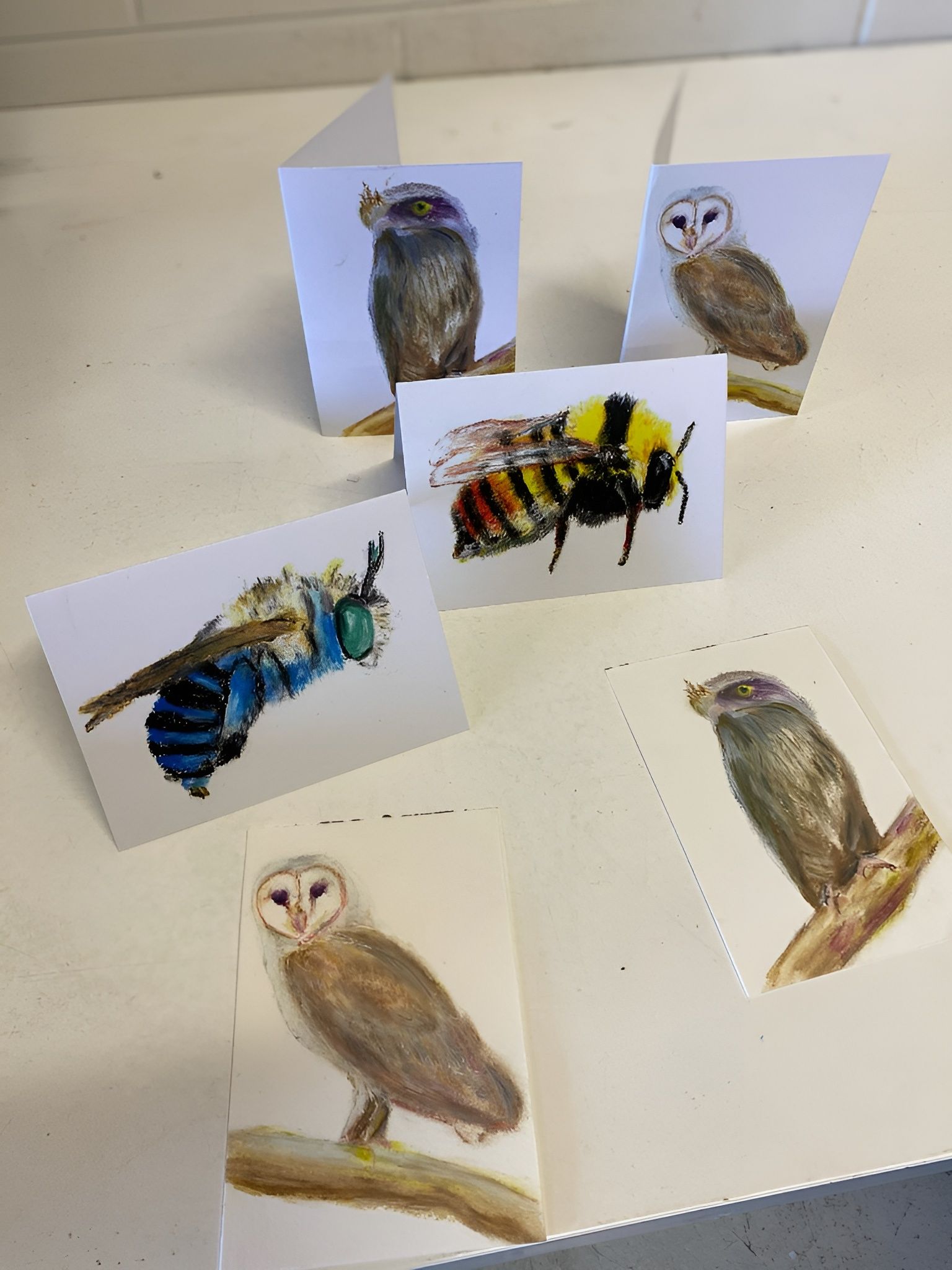 Cards of Owls and Bees on A White Surface — Digi Print Pro in Bangalow, NSW