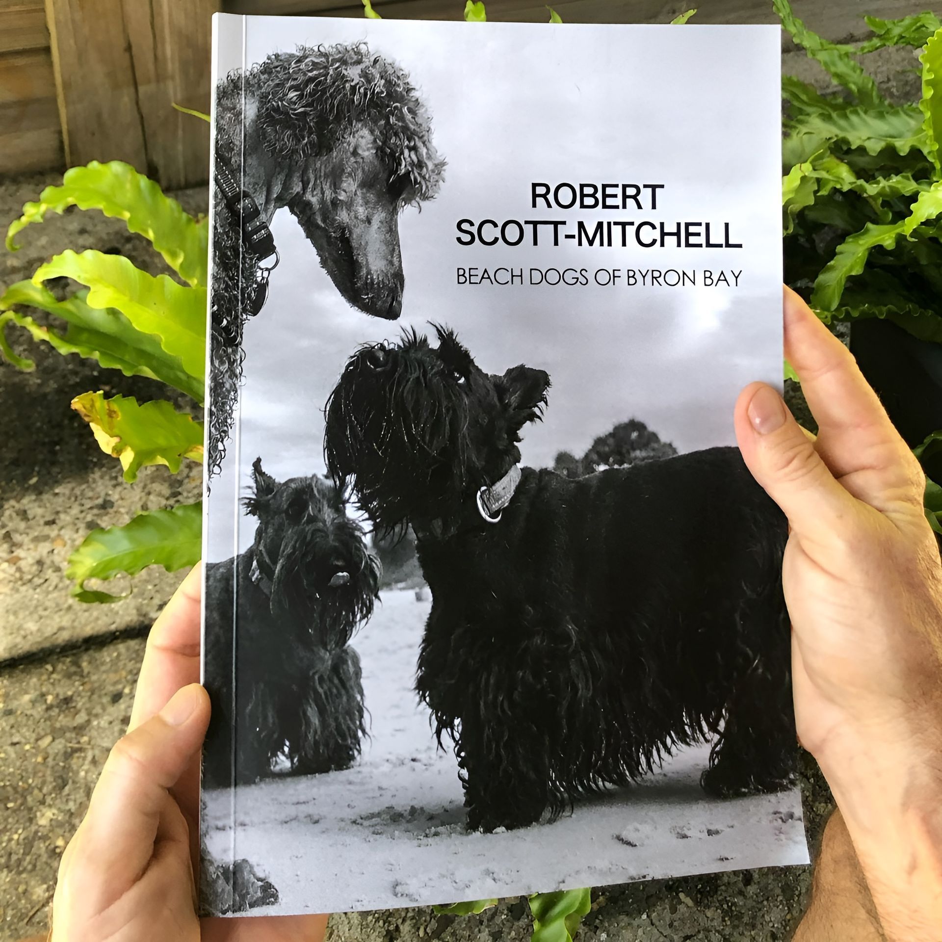 Person Holding a Black and White Photo Book — Digi Print Pro in Bangalow, NSW