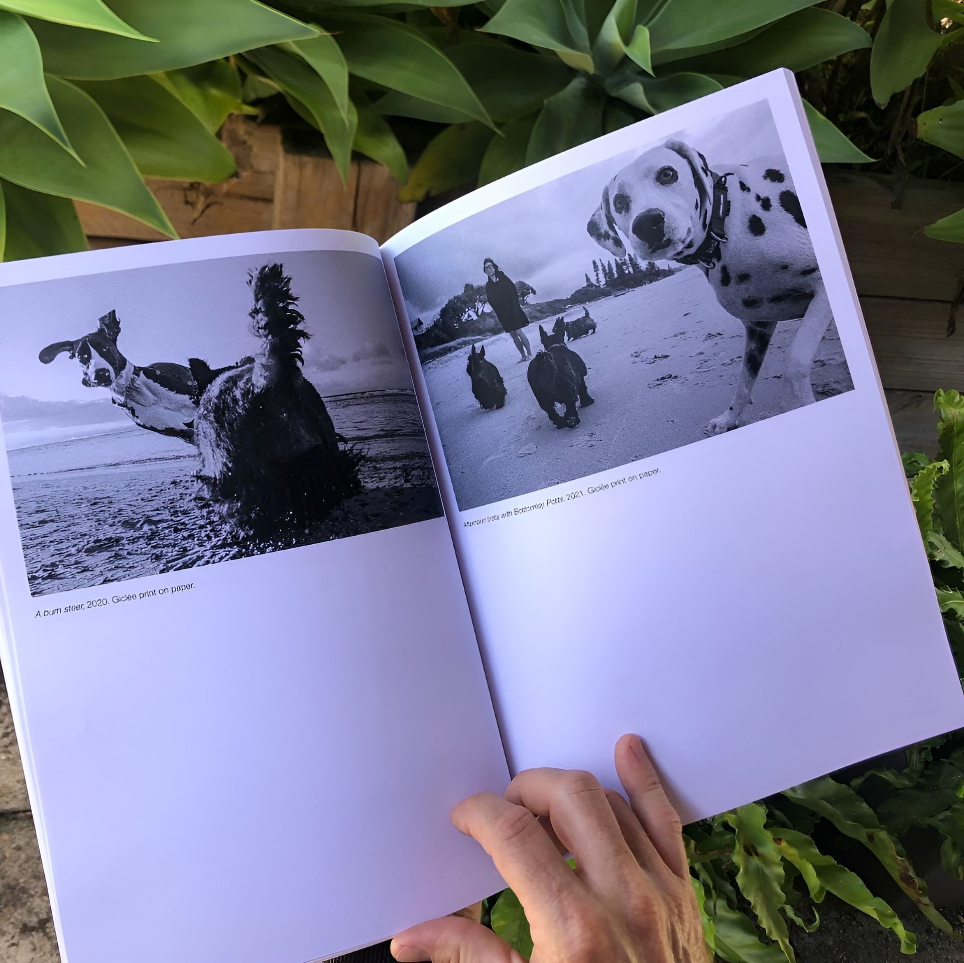 Open Book, Black and White Photos — Digi Print Pro in Bangalow, NSW