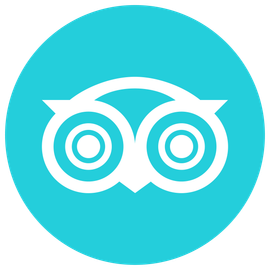 The tripadvisor logo is a white owl in a blue circle.