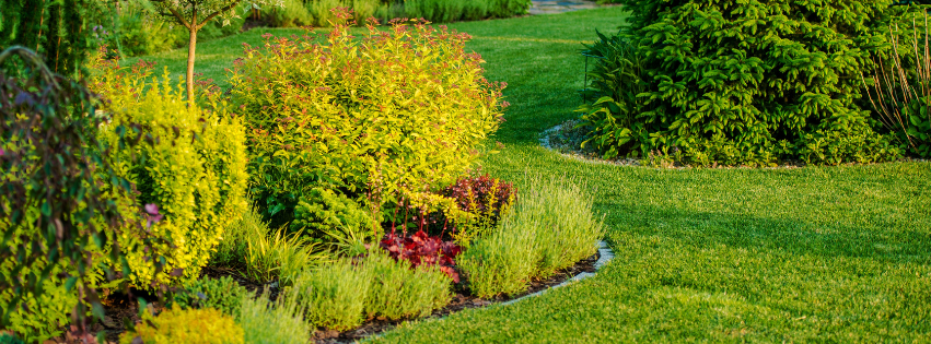 Termite Pest Control in Bethel, CT