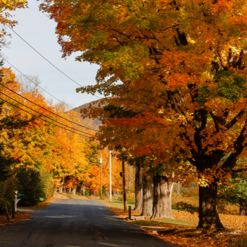 Photo of a road located in Norwalk, CT