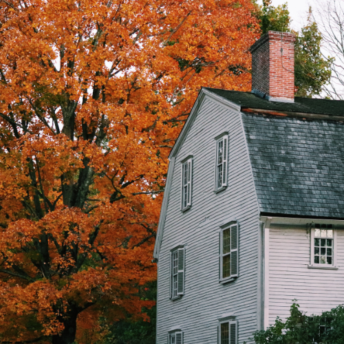 A gray house with a chimney and a vibrant orange tree in the background. Autumn setting.