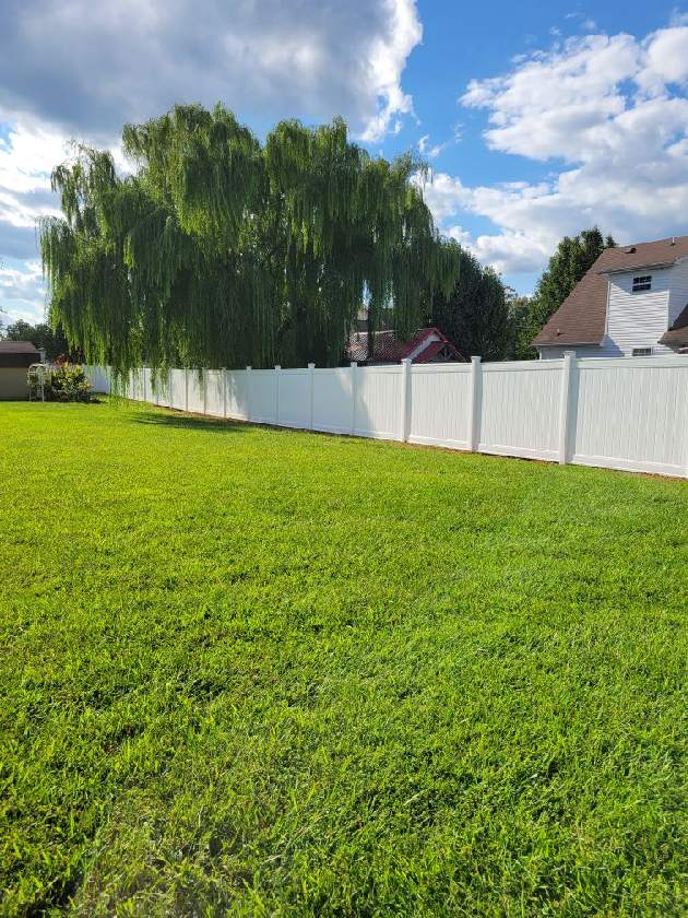 A large lush green field with a white fence and trees in the background.
