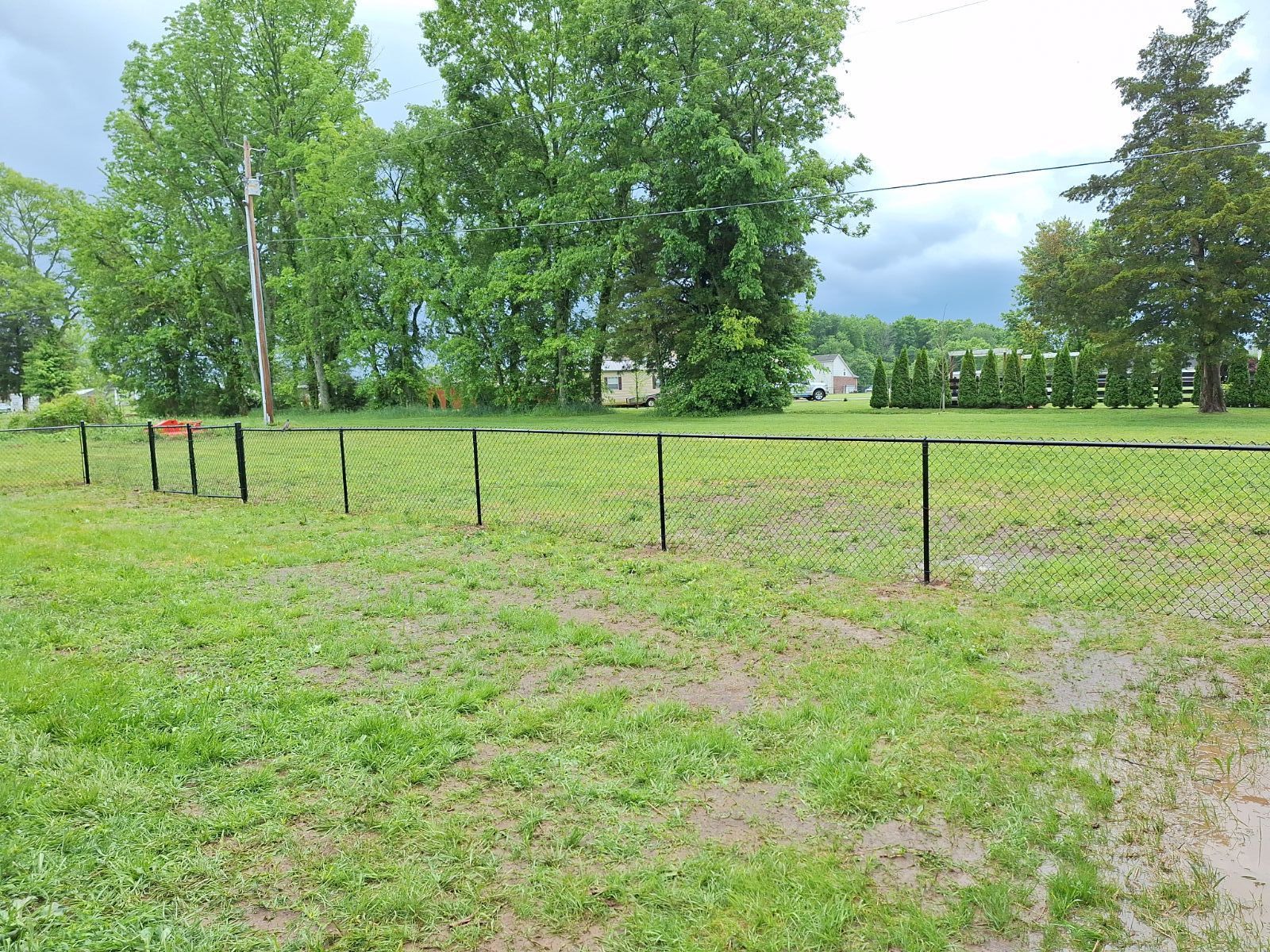 A lush green field with a fence and trees in the background.