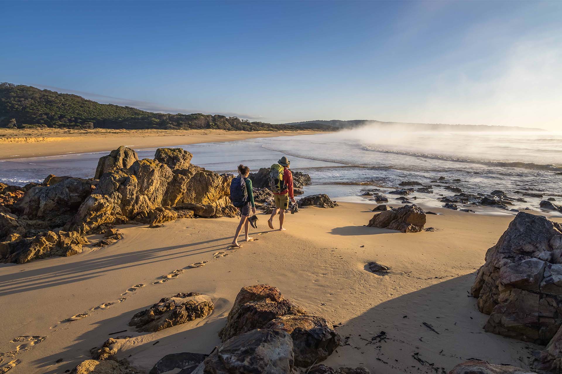 Beach Walk | Sapphire Coast Guiding Co